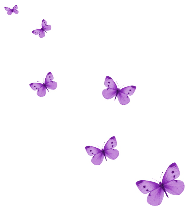 Purple color butterflies, Butterfly icon, Purple butterfly