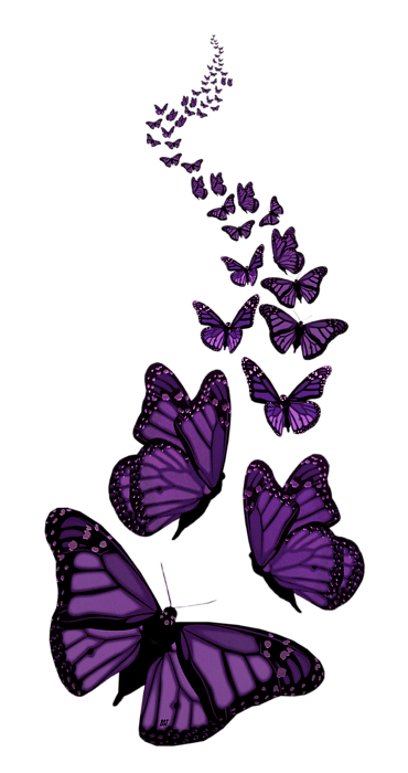 Purple color butterfly for desktop wallpaper, butterfly png