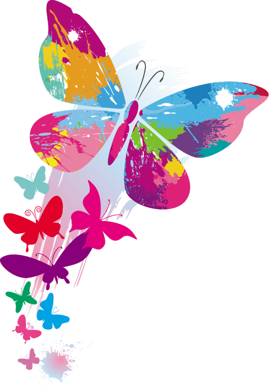 Rainbow color butterfly art in illustration software