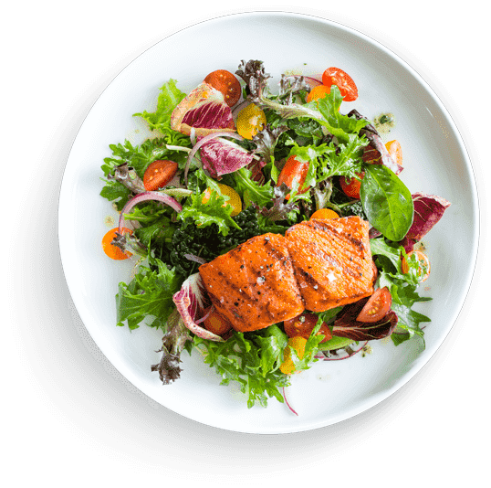 Salmon with vegetables salad in plate, leaf vegetable