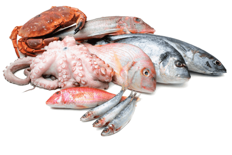 Sea foods, asado fish as food, squid as food, octopus