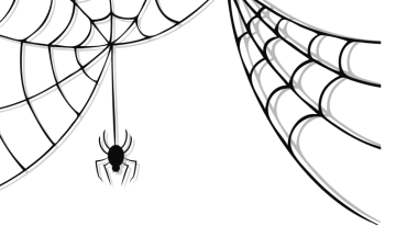 Spider animals background png image