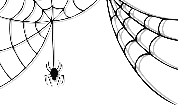Spider animals background png image
