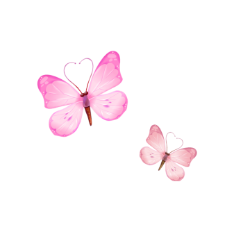 Two pink butterflies illustration, butterfly, pink butterfly