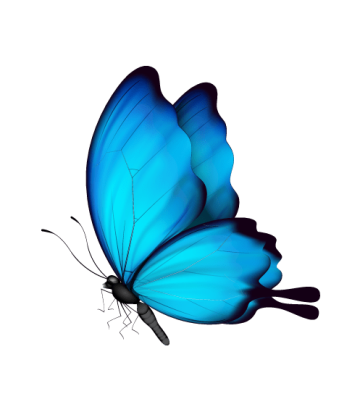 Ulysses butterfly illustration, butterfly Insect, watercolor