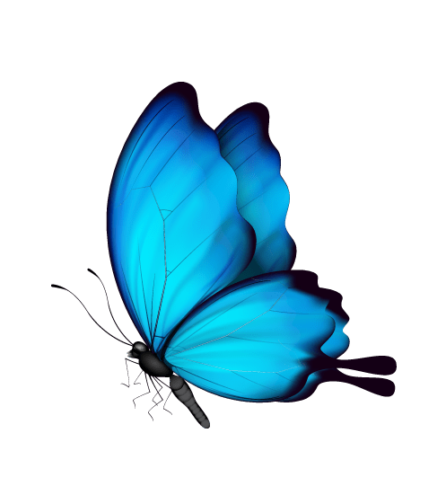 Ulysses butterfly illustration, butterfly Insect, watercolor