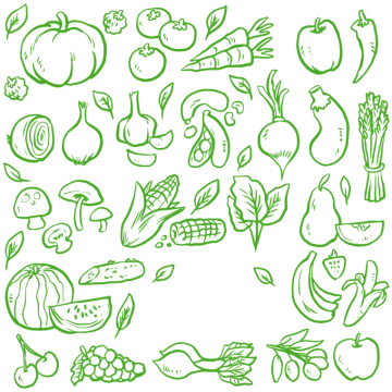 Vegetable green food make by illustration software