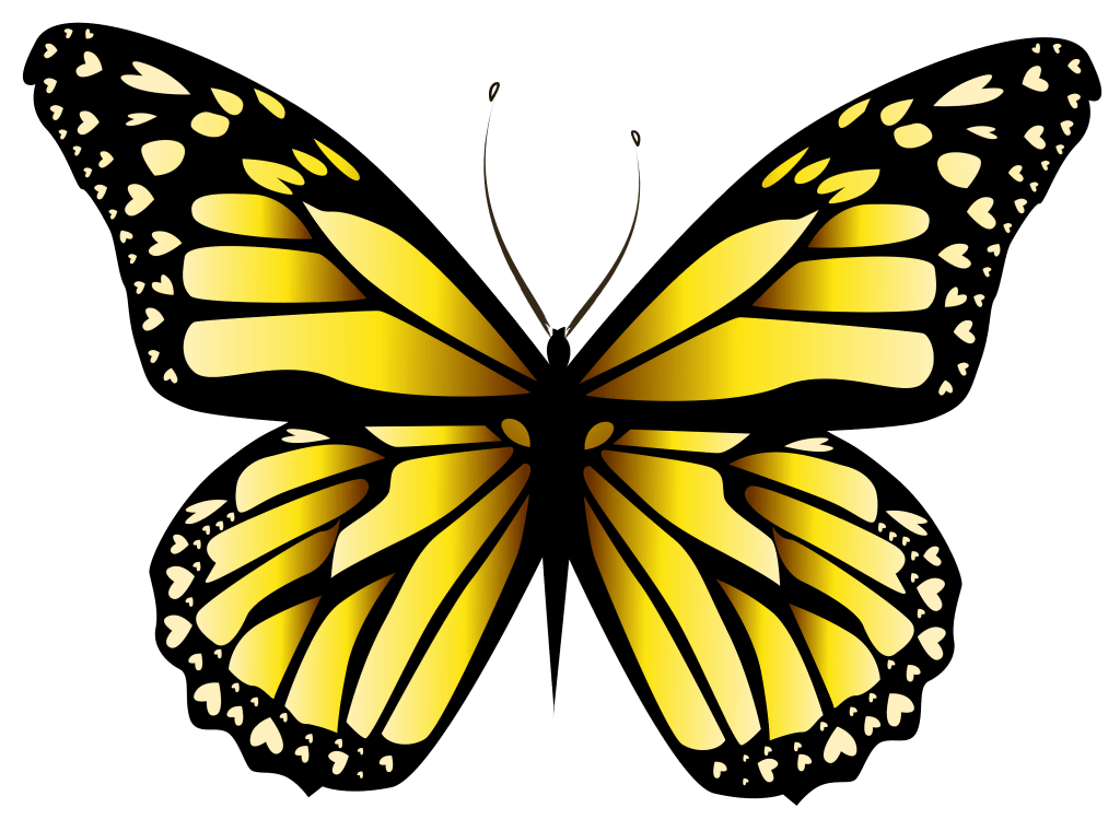 Yellow & Orange Butterfly ,Yellow and Black Butterfly Png