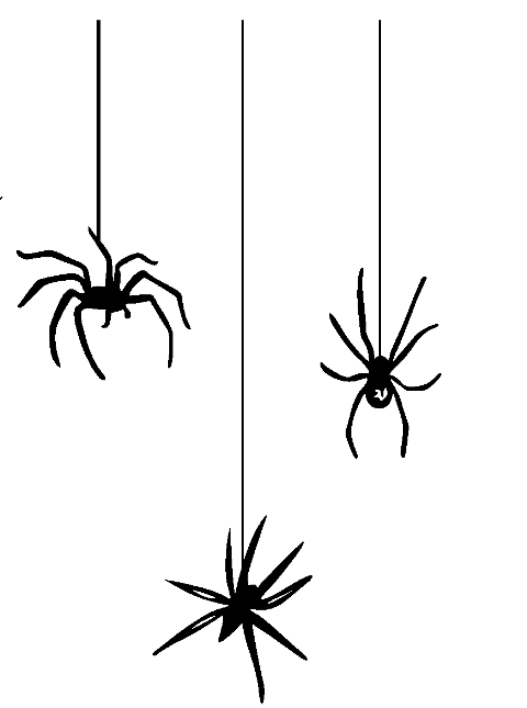 spider background png image