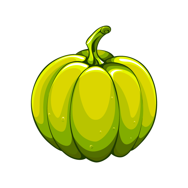 green pumpkin drawing by illustration