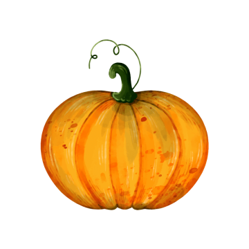 how to draw a pumpkin by illustration