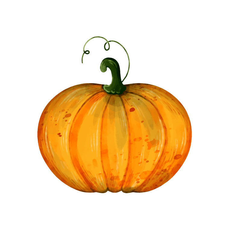 how to draw a pumpkin by illustration