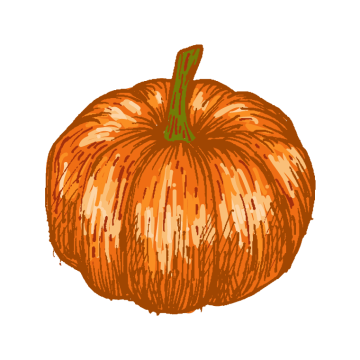 how to draw a pumpkin easy with pencil sketch