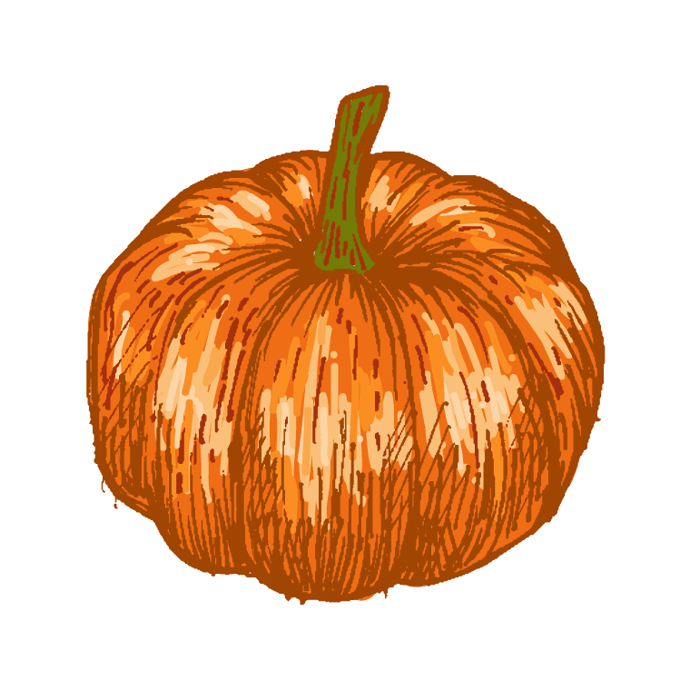 how to draw a pumpkin easy with pencil sketch