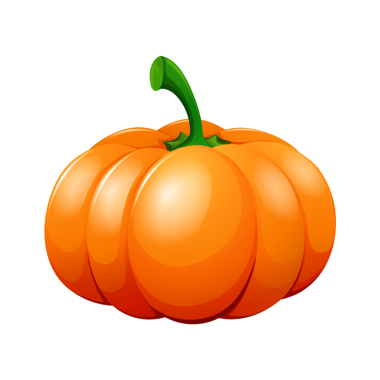pumpkin drawing by adobe illustration