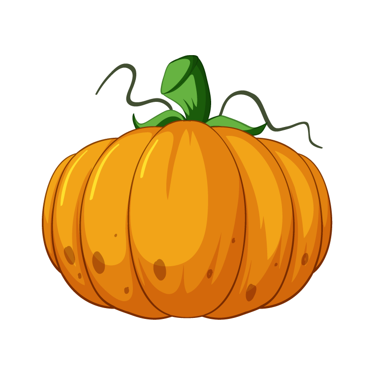 pumpkin drawing by illustration