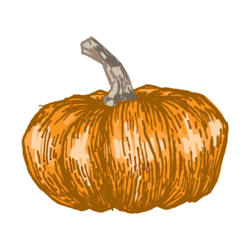 pumpkin fruit or vegetable art by pencil sketch