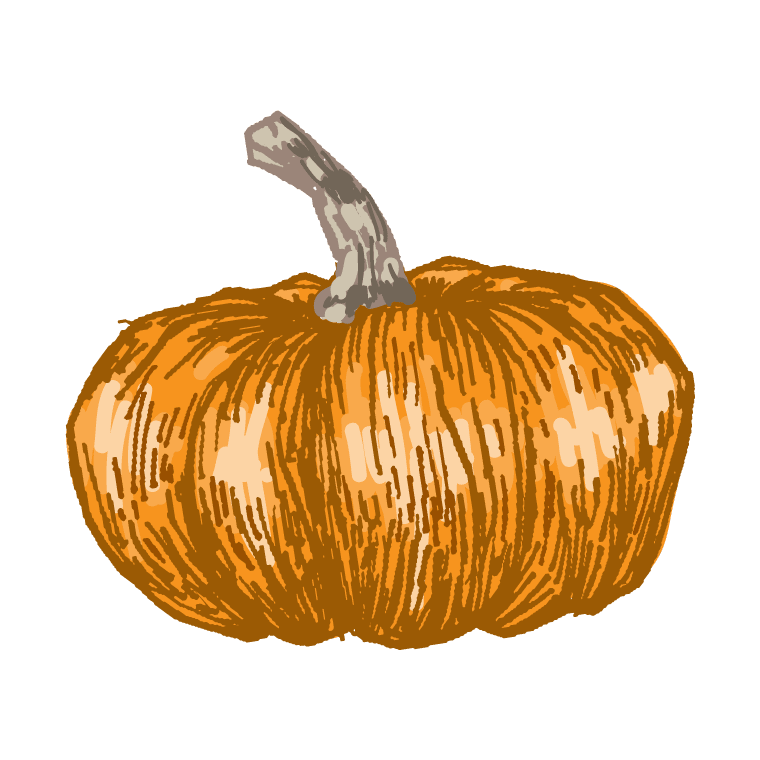 pumpkin fruit or vegetable art by pencil sketch
