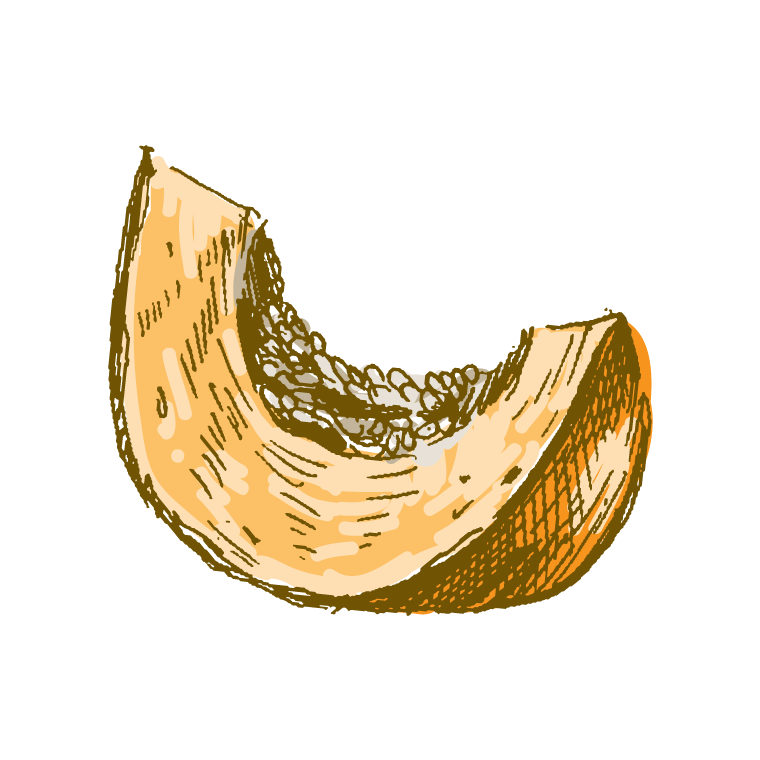 pumpkin slice drawing by illustration