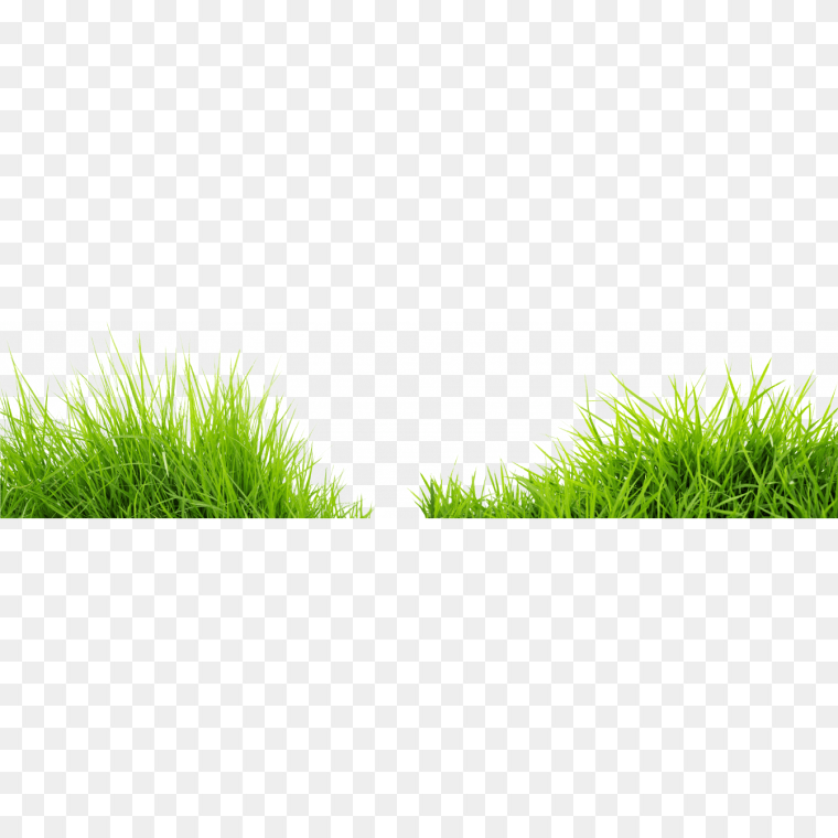 Gallery Grass Transparent Background Png Image