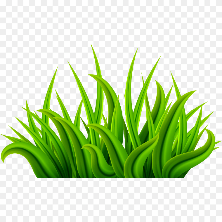 Grass Clipart Transparent Background Png Image