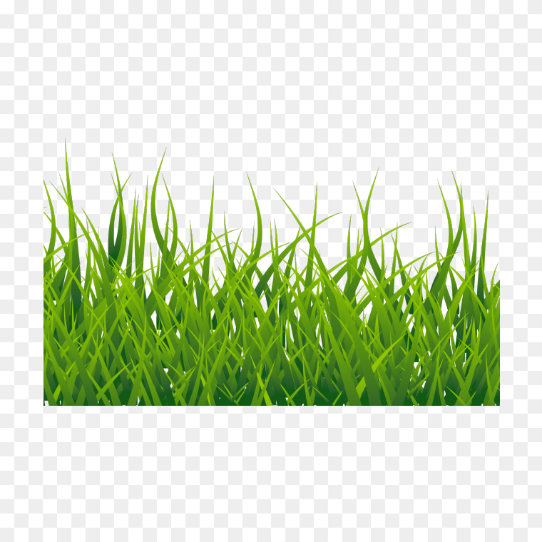 Grass Transparent Background Png Image