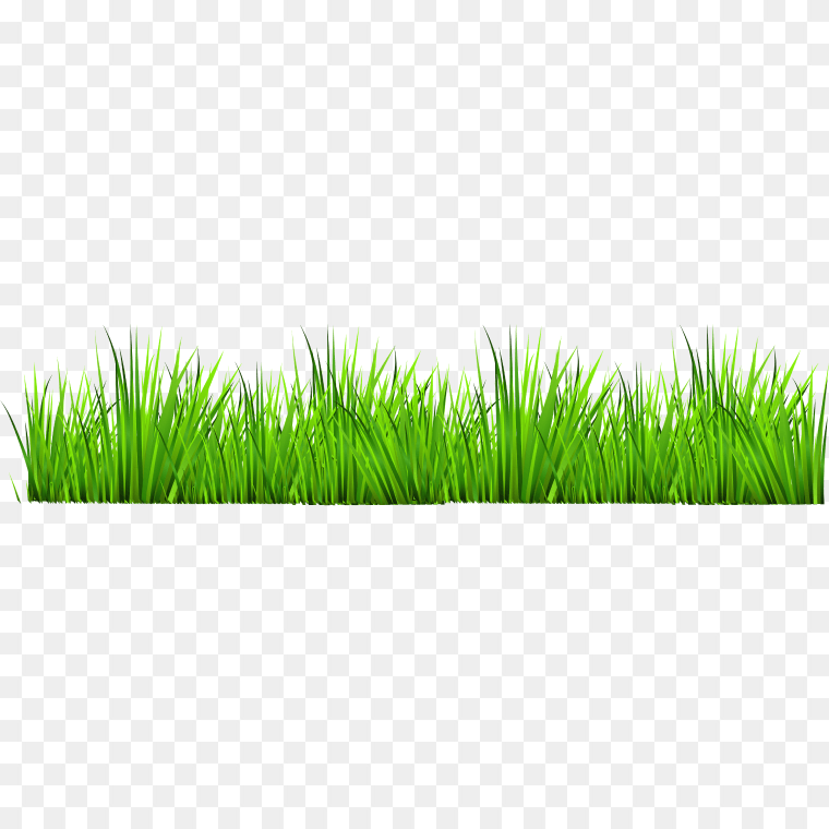 Green Grass Clipart Transparent Background Png Image
