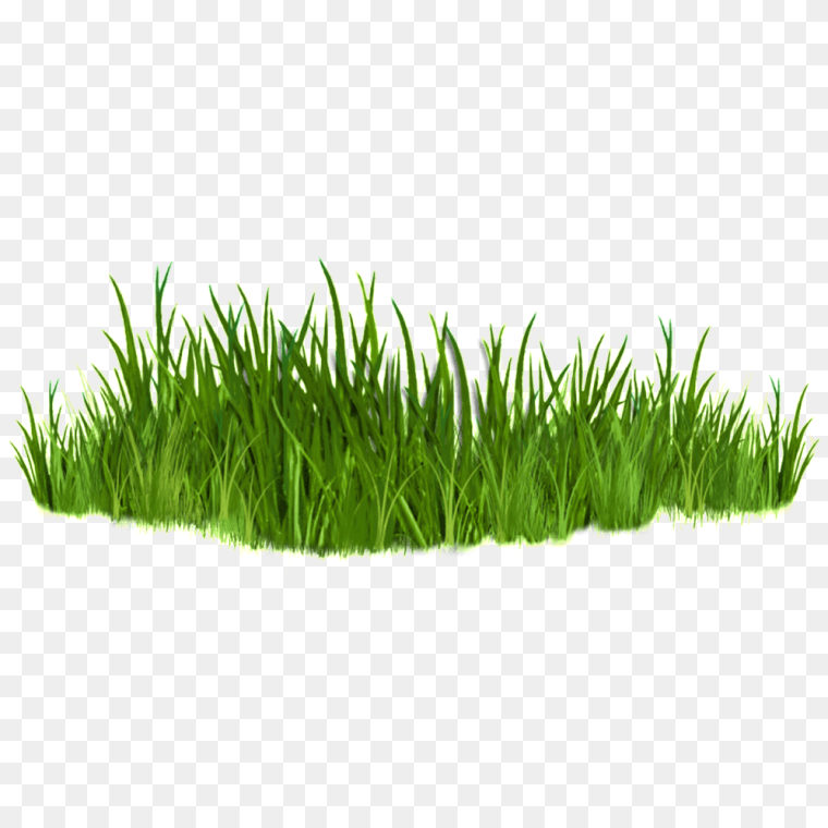 Green Grass Graphics Transparent Background Png Image