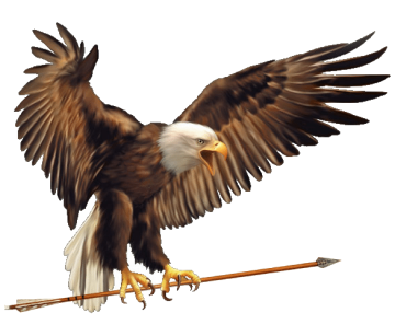 Angry eagle bird free PNG download