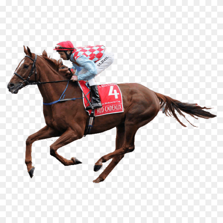 Equestrian Excitement Horse Racing Jockeys and Sports Betting, Horse Show, horse, sport, racing png
