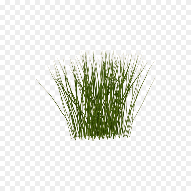 Tall Green Grass Transparent- Free PNG Download