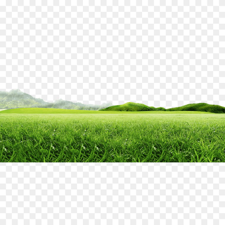 Free Landscape Of Green Grass Field Texture PNG Image, Mountain Idea, Meadow and mountains,, landscape graphy of green grass field, web Design, landscape, grass png