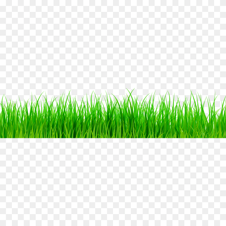 Grass Side View Transparent - Free PNG Download