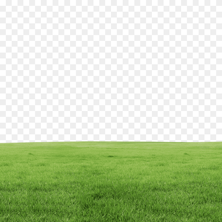 Fields Grass Background Textured - Free PNG Download Now