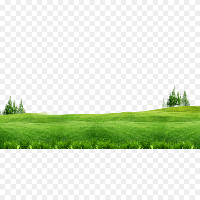 green grass field, Lawn Gratis, Green grass background free of material, frame, leave The Material, landscape png PNG tags