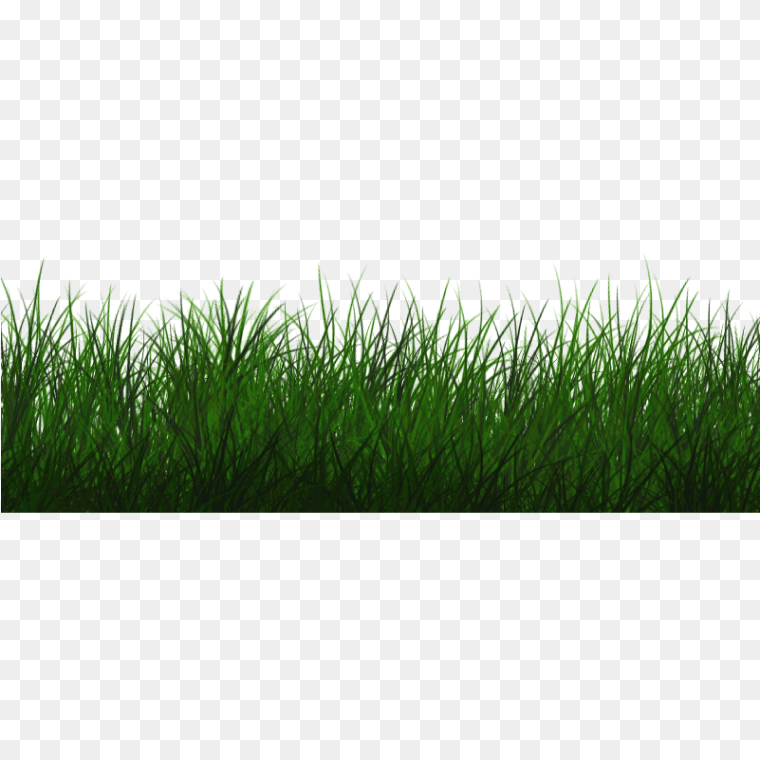 Transparent Grass With Shadow