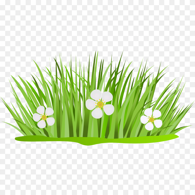 Grass Clipart High Quality PNG Illustration - Free Download,Grass Clipart Border - Grass Patch Clipart