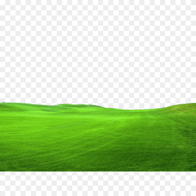grass field illustration, Lawn graphy, ground, landscape, computer Wallpaper, grass png, grass field illustration, Lawn graphy, ground, landscape, computer Wallpaper, grass png