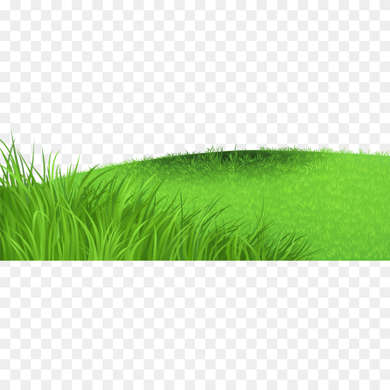 Grass Ground Illustration - Free PNG Download,,Ground Clipart Grass Background - Grass Png Transparent Background