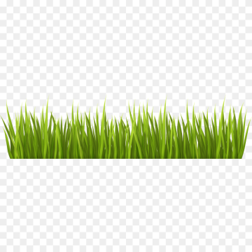 Green grass draw by illustration- free PNG download