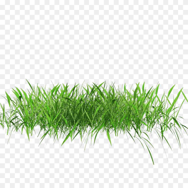 Ground Grass Textures Image - Free PNG Download, water flower, grass, lawn, desktop Wallpaper png