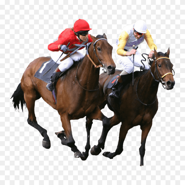Horse Racing Moments in Captivating PNG Images , Horse Logo Png Horse Png Black Horse Png Horse Icon Png Horse Head Png Horse Mask Png