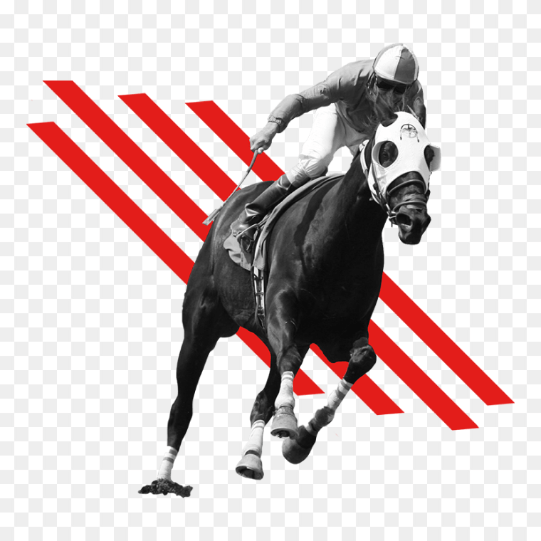 Meydan Racecourse Thoroughbred Standardbred Horse Racing, Ihorse Racing Free Horse Racing Game, horse, dog Like Mammal, racing png
